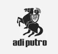 Partner Adi Putro