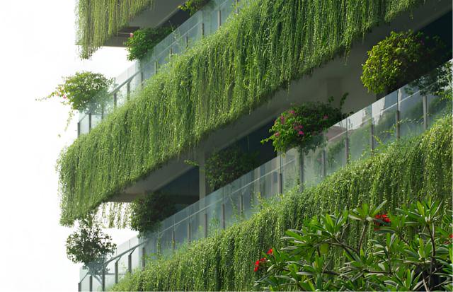 Green Building